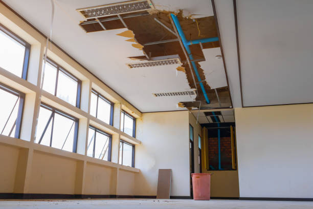 Best Basement water damage restoration  in Woodward, OK