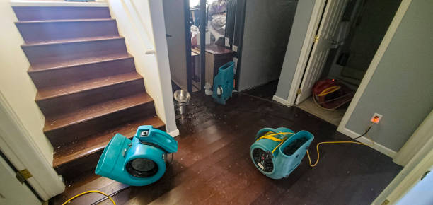 Best Local water damage restoration  in Woodward, OK