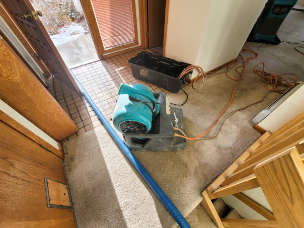 Best Sewage cleanup and water damage restoration  in Woodward, OK