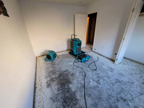 Best Flood damage cleanup  in Woodward, OK