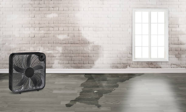 Best Sewage cleanup and water damage restoration  in Woodward, OK
