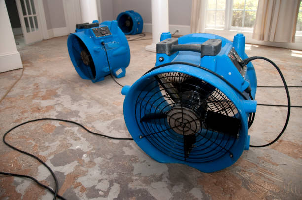 Best Water damage cleanup near me  in Woodward, OK