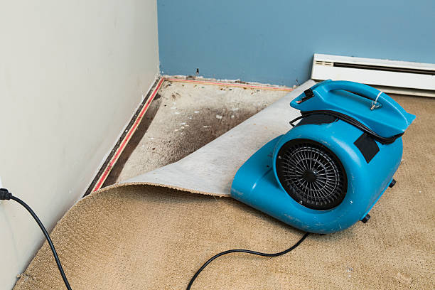Best Mold removal after water damage  in Woodward, OK